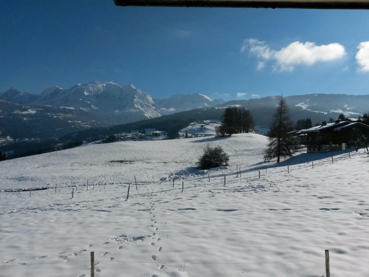 Rez De Chaussee Tres Calme Vue Mont-blanc *