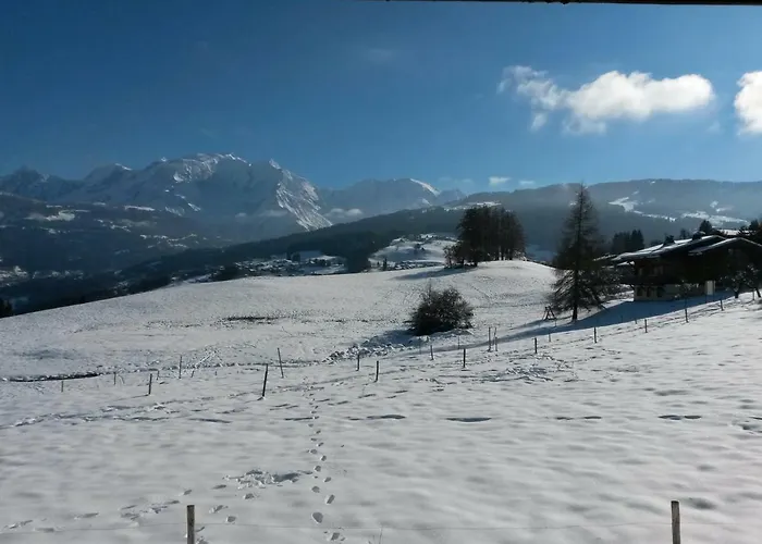 Rez De Chaussee Tres Calme Vue Mont-Blanc
