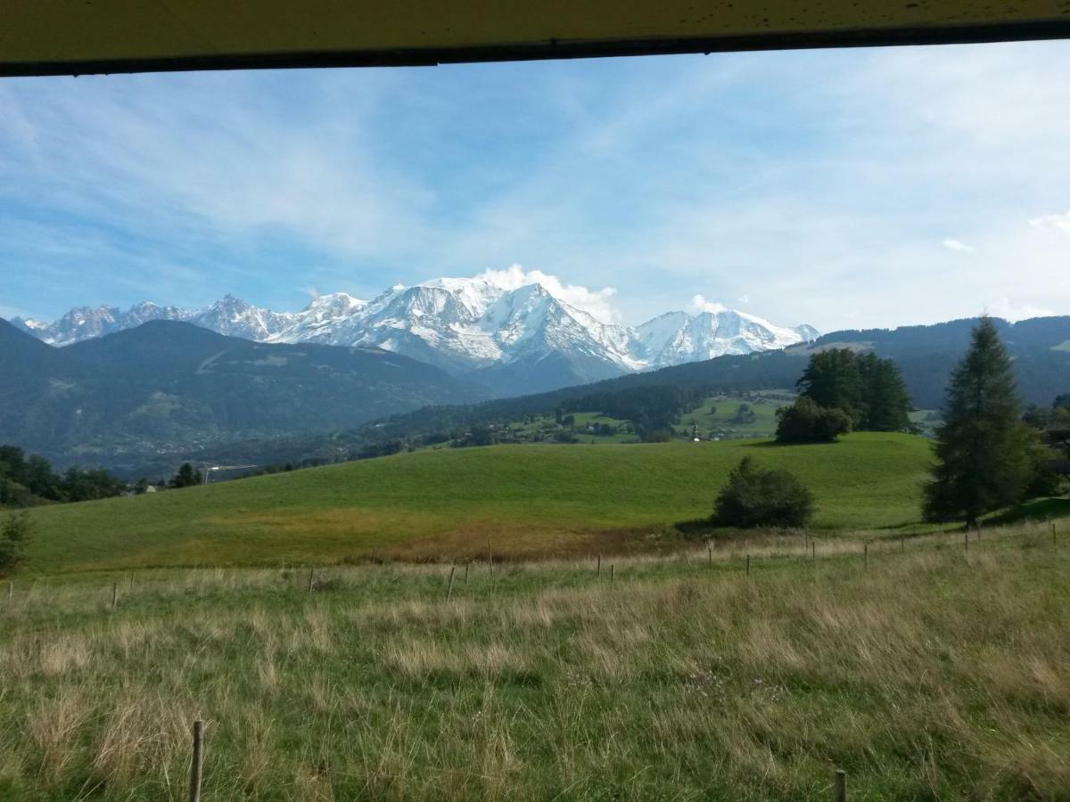 Rez De Chaussee Tres Calme Vue Mont-blanc Apartment *